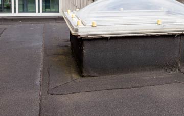 disadvantages of Baile Mhartainn flat roofs