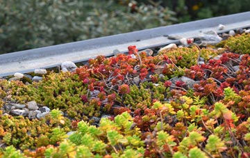 the cost of Baile Mhartainn green roof installation