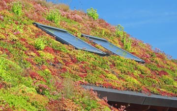 Baile Mhartainn living roof systems